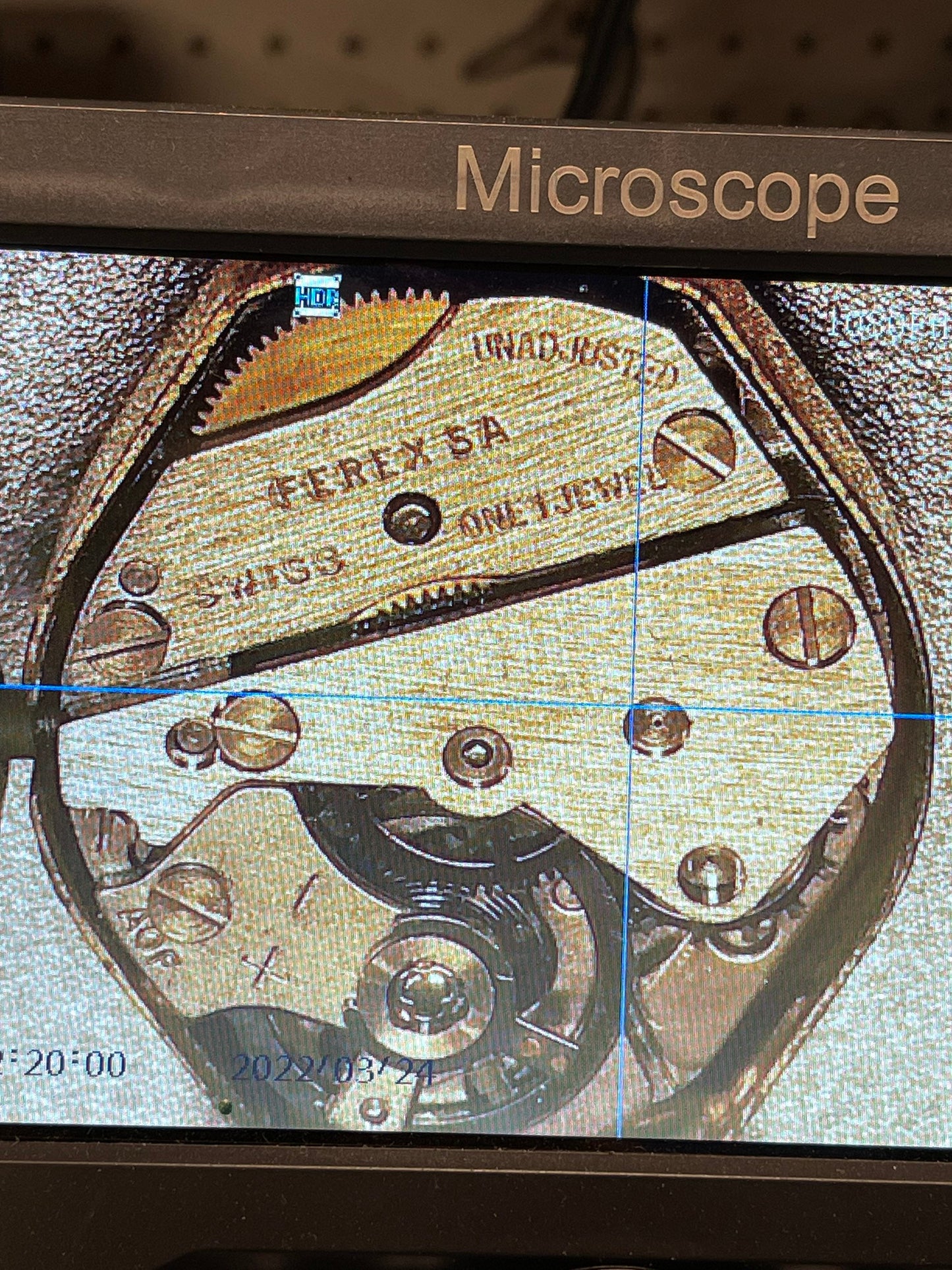 Vintage AMCHRON Swiss Made Gold Watch
